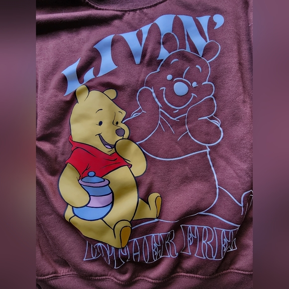 Disney Winnie the Pooh Brown Sweater Women's Small - Picture 6 of 6